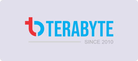 Terabyte Logo