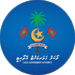 Local Government Authority